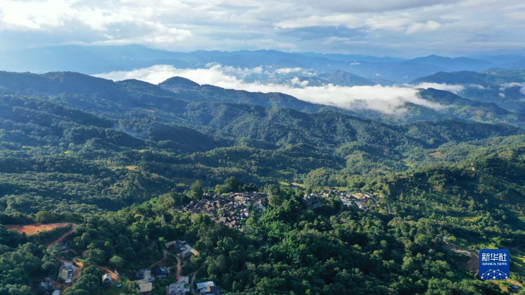 tt澳门国际